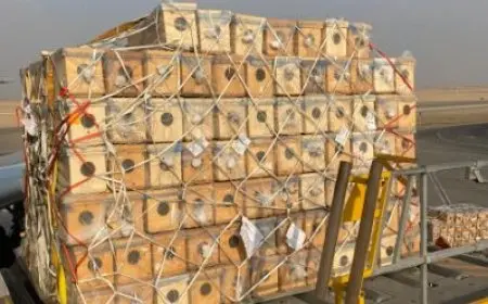 مصر للطيران للشحن الجوي تنجح في نقل شحنة حساسة من النحل الحي لأول مرة إلى مطار الباحة