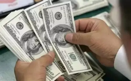 بعد دعوة الرئيس.. خبراء: تسوية المعاملات مع البريكس بالعملات المحلية تخفف من ضغوط الدولار