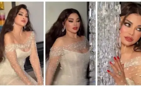 “فستان شفاف”.. أحدث جلسة تصوير جريئة لـ هيفاء وهبي تخطف بها الأنظار