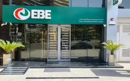 محمد شوقي نائباً للرئيس التنفيذي للبنك المصري لتنمية الصادرات