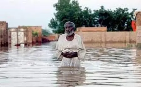 سيول السودان.. تضرر أكثر من 21 ألف أسرة في 11 ولاية منذ يونيو