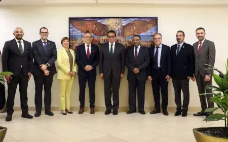 نائب وزير الصحة: وضعنا استراتيجية وطنية لدمج القابلات تدريجيا في منظومة الولادة الطبيعية