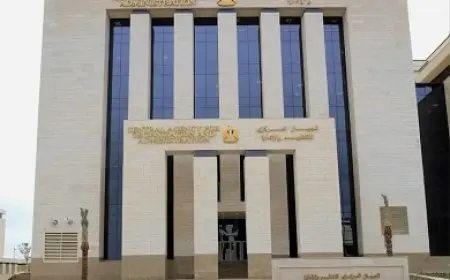 التنظيم والإدارة يتيح الاستعلام عن نتيجة التظلمات في مسابقة البريد ويعلن ترتيب قائمة الانتظار