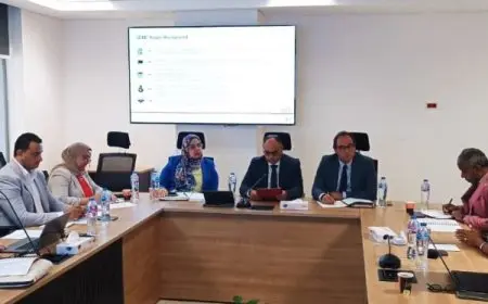 البيئة واللجنة المصرية الألمانية يعقدان اجتماعا تنسيقيا لتعزيز التعاون في العمل المناخي