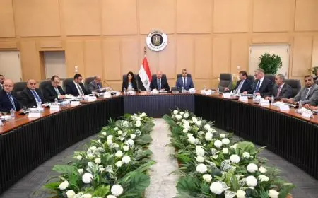 الحكومة تحدد 28 صناعة تحتاجها السوق المحلية لعرضها على المستثمرين