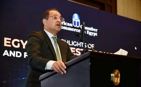 وزير المالية: المراجعة الخامس والسادسة مع صندوق النقد في أكتوبر المقبل