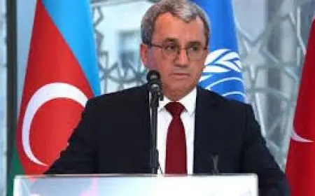 تركيا ترشح مندوبها الأممي لمنصب مفوض شئون اللاجئين