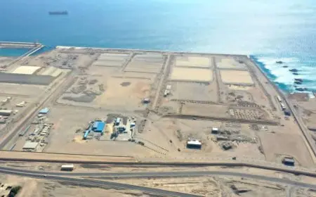 المحطة متعددة الأغراض سفاجا 2.. بوابة لوجستية جديدة لمصر وإقليم الصعيد