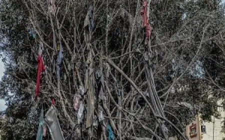 مفوض أممي: يجب وضع حد للمجازر الإسرائيلية المستمرة في غزة منذ ما يقرب من عامين