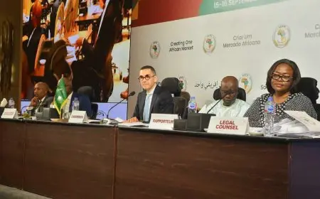 توافق وزراء التجارة الأفارقة حول قواعد المنشأ للمنسوجات والسيارات بعد مفاوضات استمرت 3 سنوات