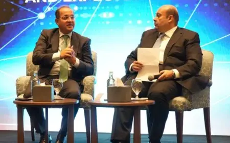 وزير المالية: نسير فى الاتجاه الصحيح.. أداؤنا المالى والاقتصادى يتحسن