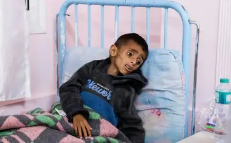 جمعية تونسية تطلق حملة تبرعات لكفالة 120 ألف طفل فلسطيني