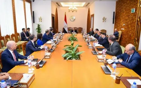 وزير الخارجية يُتابع التحضيرات الجارية للنسخة الخامسة لمنتدى أسوان للسلام والتنمية المستدامة