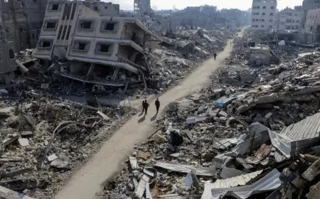 مصدر دبلوماسي بالإليزيه: الاعتراف بفلسطين رسالة واضحة بأن عمليات إسرائيل العسكرية لن تلغي حل الدولتين