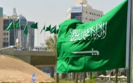 السعودية تجدد دعوتها للمجتمع الدولي إنفاذ القرارات الدولية وتنفيذ حل الدولتين