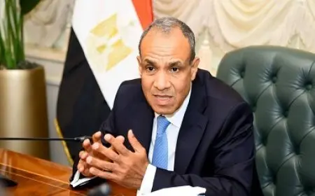 وزير الخارجية: مصر لن تقبل بنكبة ثانية للفلسطينيين