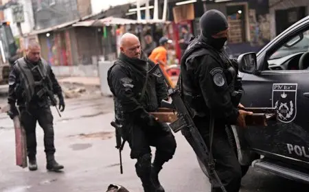 الشرطة البرازيلية تنقذ أكثر من 700 حيوان بري من عصابة تهريب