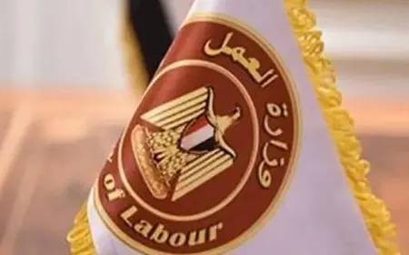 3 آلاف فرصة عمل جديدة بـ44 شركة خاصة في 11 محافظة.. التخصصات والتقديم