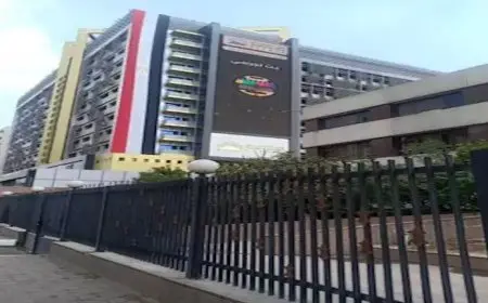 الإحصاء: 1.5 مليار دولار قيمة التبادل التجاري بين مصر وإسبانيا في 6 أشهر