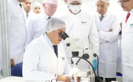 الصحة: إصدار 776 ألف قرار علاج على نفقة الدولة بتكلفة 6.3 مليار جنيه خلال شهرين