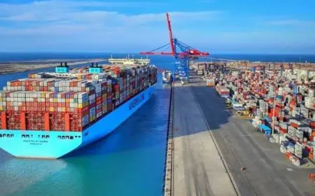 ميناء دمياط يستقبل 21 سفينة متنوعة