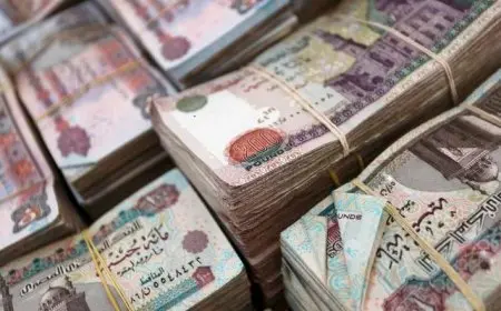 أرباح البنوك تقفز إلى 274.9 مليار جنيه خلال النصف الأول من 2025