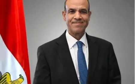 وزير الخارجية: معبر رفح سيظل مفتوحا من الجانب المصري على مدار الساعة
