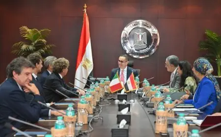 وزير الاستثمار يبحث مع وفد تكنوكاب الإيطالية خطط التوسع الصناعي في مصر