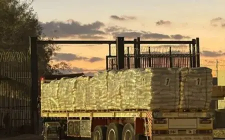 دخول 63 شاحنة مساعدات من معبر رفح البري إلى كرم أبو سالم لصالح قطاع غزة