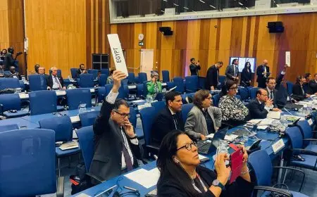 بأغلبية ساحقة.. الوكالة الدولية للطاقة الذرية تعتمد قرارا لتعزيز الدعم الفني لفلسطين وخاصة غزة