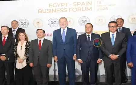 ملك أسبانيا: 60 شركة إسبانية تعمل في مصر لدعم التنمية