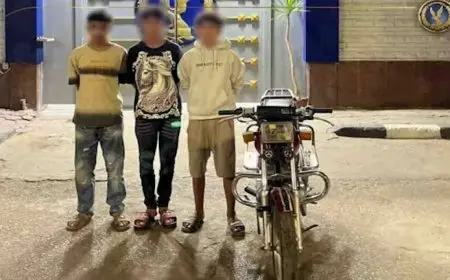 رعب في الشارع.. 3 طلاب يصفعون فتاة أمام المارة بالمنوفية