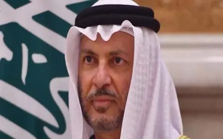 قرقاش: أزمات العامين الماضيين أعادت رسم خريطة الشرق الأوسط