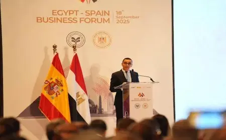 وزير الاستثمار: 900 مليون يورو الاستثمارات الإسبانية بمصر