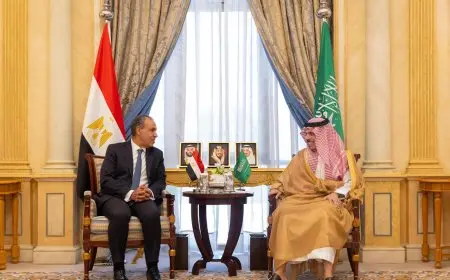 وزير الخارجية ونظيره السعودي يؤكدان أهمية توحيد الجهود المبذولة لضمان أمن المنطقة وسلامتها