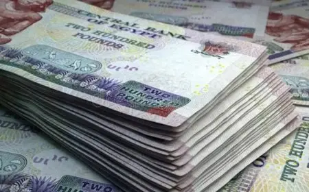 مصير الفائدة في مصر.. هل يتأثر بالموجة العالمية للخفض؟