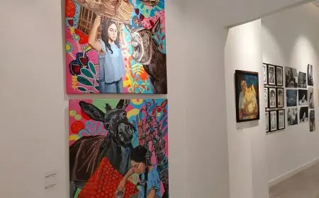 الإنسان وتحولات الواقع.. معرض صور على هامش فعاليات مهرجان ميدفست