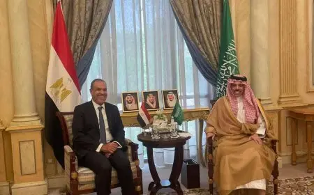 وزير الخارجية يجري مباحثات مع نظيره السعودي لتعزيز التعاون الثنائي وبحث التطورات الإقليمية