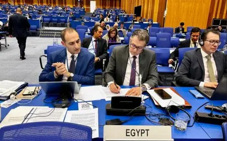 باكتساح.. اعتماد القرار المصري بتطبيق ضمانات وكالة الطاقة الذرية على دول الشرق الأوسط وإسرائيل