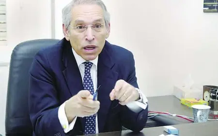 رئيس المجلس التصديري للحاصلات الزراعية: ارتفاع صادرات مصر الزراعية إلى 7 ملايين طن بزيادة 11%