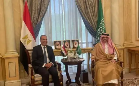 وزير الخارجية: مصر والسعودية تحملان مسئولية خاصة لتحقيق الأمن والاستقرار بالمنطقة