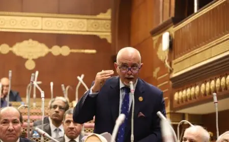 النائب حازم الجندي: منتدى رجال الأعمال المصري الإسباني يؤسس لشراكة اقتصادية بين البلدين