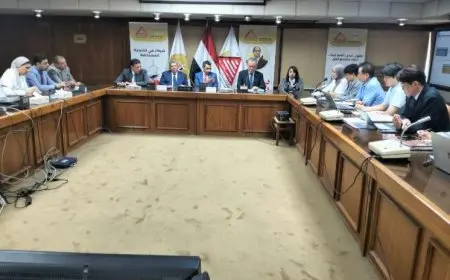 وزيرة التنمية المحلية: بدء سلسلة اجتماعات مع وفد كوري لإنشاء مركز محاكاة متكامل للتدريب وبناء القدرات في إدارة المخلفات الصلبة