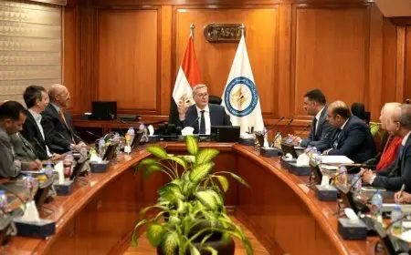 وزارة البترول تقر نماذج اتفاقيات أكثر مرونة تحفيزا للاستثمار في التعدين