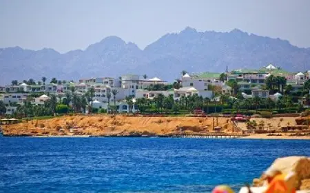 شركات سياحية: استمرار حرب غزة يضرب حجوزات فنادق جنوب سيناء