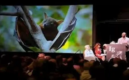 جائزة نوبل الساخرة لعام 2024.. تكريم أبحاث غريبة عن الخفافيش وصلصة المكرونة