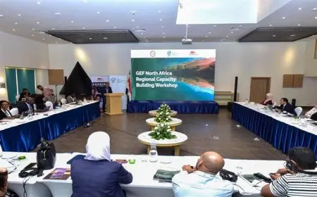 وزارة البيئة تشارك في ورشة العمل الثانية لبناء القدرات الإقليمية لدول شمال أفريقيا