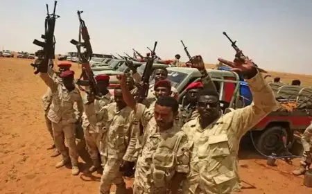 الدعم السريع يقتل 75 مصليا داخل مسجد بالفاشر”فيديو”