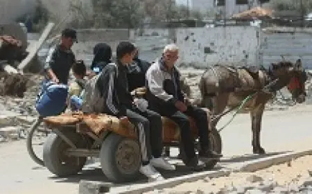 نزوح متزايد من مدينة غزة ونعرض شاحنات مساعدات محملة بحليب أطفال للنهب