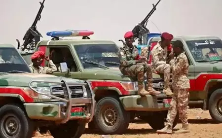 “قُتِلوا أثناء صلاة الفجر”.. الدعم السريع يستهدف 75 مدنيًا بالفاشر (فيديو)